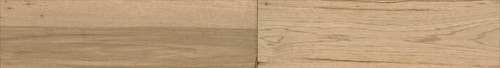 Plank