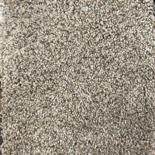 Shaw Quick Ship Super Special 131A Stain Resistant Carpet SQFT Price : 1.99 room