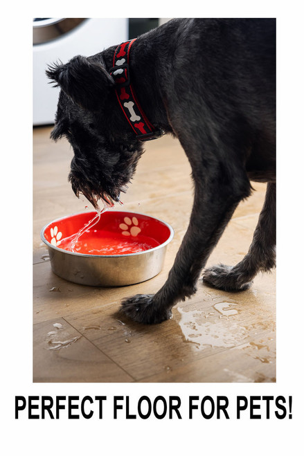 PRICE DROP ALERT - Zodiac Collection - Butter Nut Oak - 5.75" x 47.75" Waterproof Luxury Vinyl Rigid Plank Flooring with Attached Pad BUTTER SQFT Price : 2.09