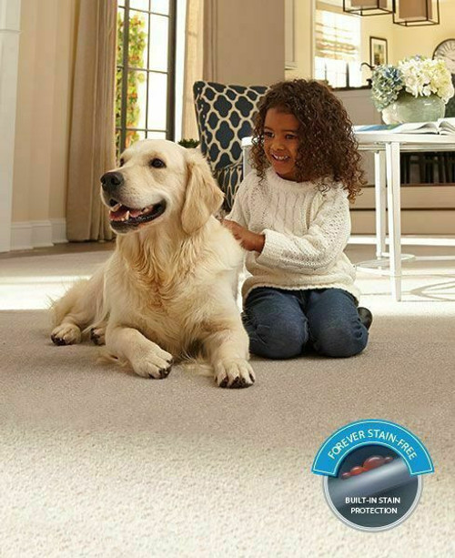 CARPET REMNANT - 12x11-1 (132.96 sq ft) - Mohawk 46 oz Polyester Freize - Stain Resistant Carpet 22051424 SQFT Price : .99