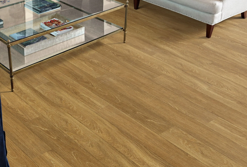 Shaw Parkview - South Beach - Glue Down Luxury Vinyl Plank - 6" x 48" Vinyl Plank 00256 - Sample