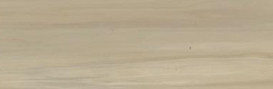 Special Buy - Shaw Floorte Pro Series SFA Adventure XL Nordic Hearth 9" x 72" Luxury Vinyl Plank 02008 - Sample