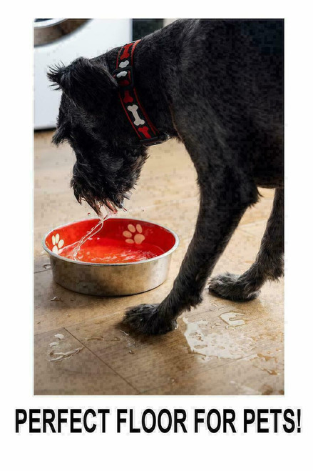 Shaw - Tipton Oak - 5" x 48" Waterproof - Click Together - WPC Luxury Vinyl Plank Flooring with Attached Pad 00555 - Sample