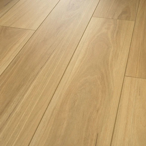 Shaw Floorte Distinction Plus - Eucalyptus - WPC Click Together - Waterproof Luxury Vinyl Plank 7" x 48" 00694 - Sample
