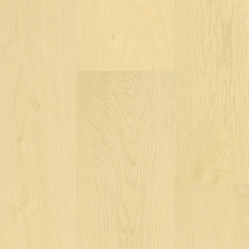 PREMIUM QUALITY - Lion's Seaside Summit Collection - Beach Blessing - 9.5" x 84" Waterproof Luxury Vinyl Plank Flooring