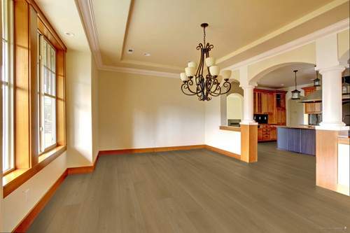 Lion's Seaside Summit Collection - Seaglass Luster - 9.5" x 84" Waterproof Luxury Vinyl Plank Flooring room