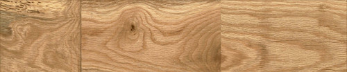 Plank