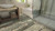 Lot Purchase - Supreme Click INNOcore Coretec Style WPC Vinyl Flooring Cape Cod with Cork Back - Sample