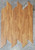 40 mil Wear Layer - Shaw Patcraft Wood Planx Facet - Toasted Cherry - 12" x 24" - 40 mil Wear Layer Loose Lay Luxury Vinyl Flooring 00770 - Sample