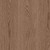 Mohawk Large & Local Reforestation - Northern Bly - 9.25" x 59" Waterproof Luxury Vinyl Plank 855 - Sample