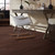 PRICE DROP ALERT - Shaw Home FN Colt 5 Coffee Bean - 5" Wide - Engineered Hardwood 00958 - Sample