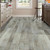 Shaw Floorte Paragon - District Pine - 5" x 48" - SPC- Waterproof Luxury Vinyl with Attached Pad V345705039 - Sample