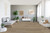 Legante Flooring - Chambery Collection - Oak - 7" x 48" Rigid Core Waterproof Luxury Vinyl Flooring with Attached Pad SILVER SQFT Price : 2.39 room