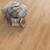 MOVING SALE - Traffic Master - Rockwood Oak - 7 mm - 7.64" x 50.63" Click Together Laminate ROCK SQFT Price : 1.59
