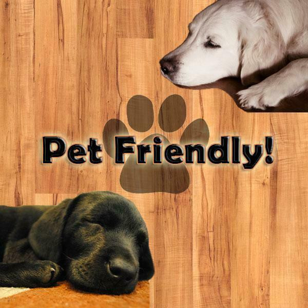 MOVING SALE - Shaw US Floors Coretec - Pro Galaxy - Centaurus Oak - SPC Click Together - Waterproof Vinyl Luxury Plank Flooring 7" x 48" UV92902083 SQFT Price : 2.19