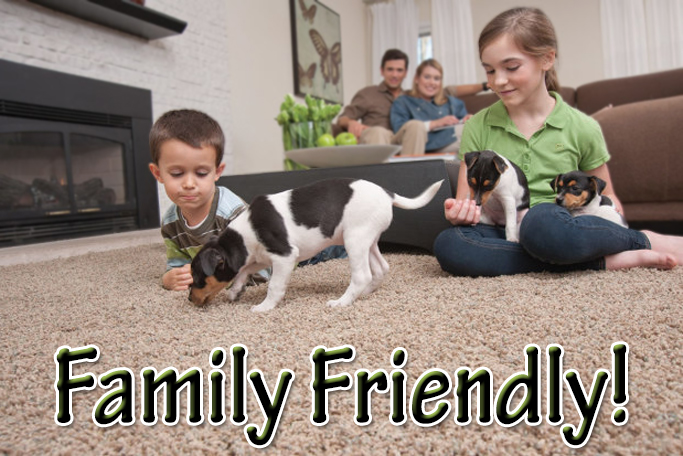 CARPET REMNANT - 12x5-10 (70 sq ft) - Mohawk 44 oz Smartstrand Plush - Stain Resistant Carpet 57845739 SQFT Price : 1.09