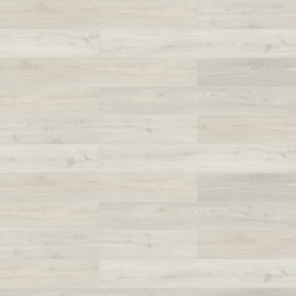 PRICE DROP ALERT - Shaw Coretec - Branching Out - Rise Oak - Waterproof Vinyl Luxury Plank Flooring 7" x 48" V430800120 - Sample