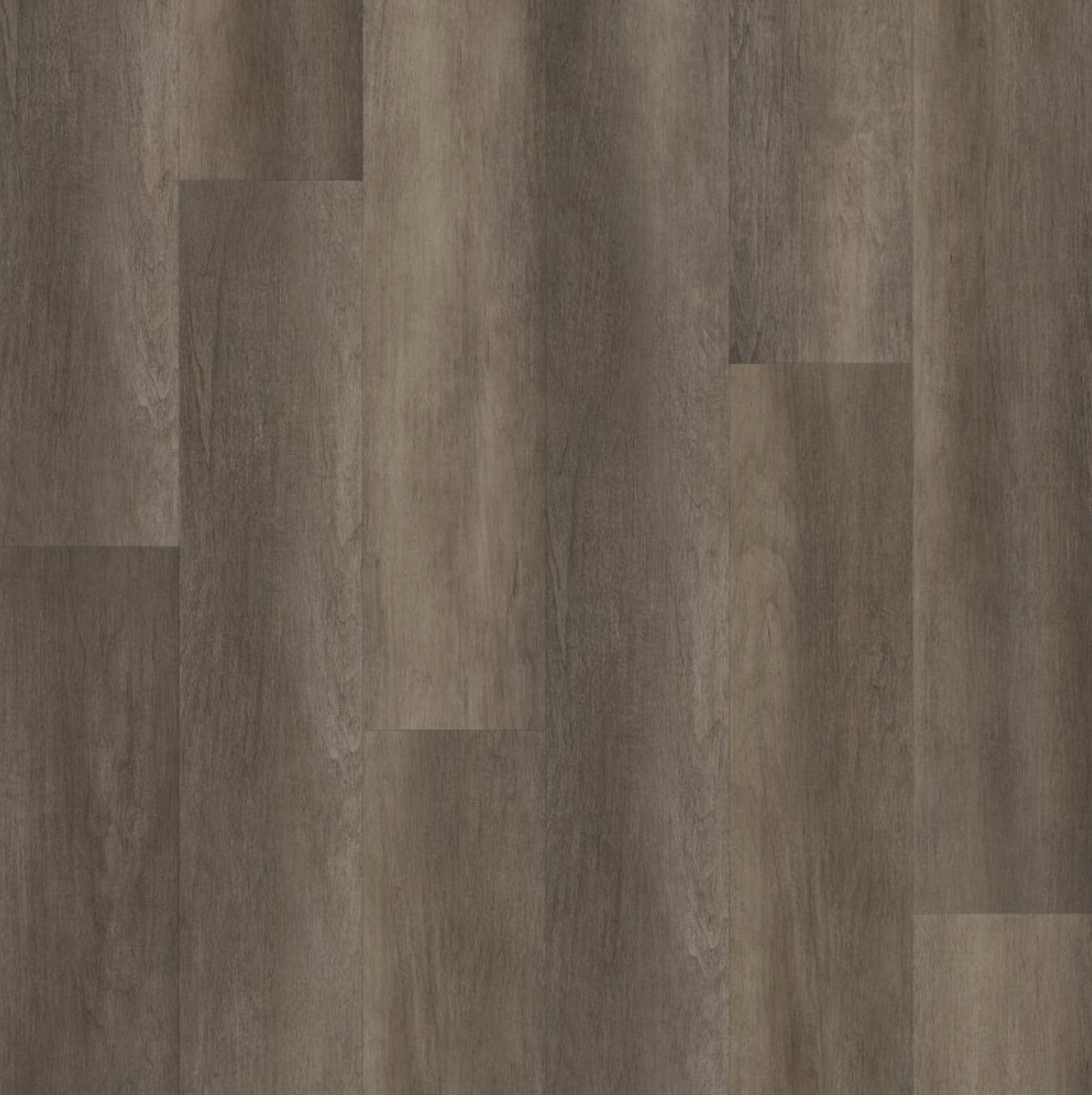 20 mil Wear Layer - Shaw Resilient Commercial Philosopher's Tree Bronze 9" x 63" Luxury Vinyl Loose Lay V205207205 - Sample