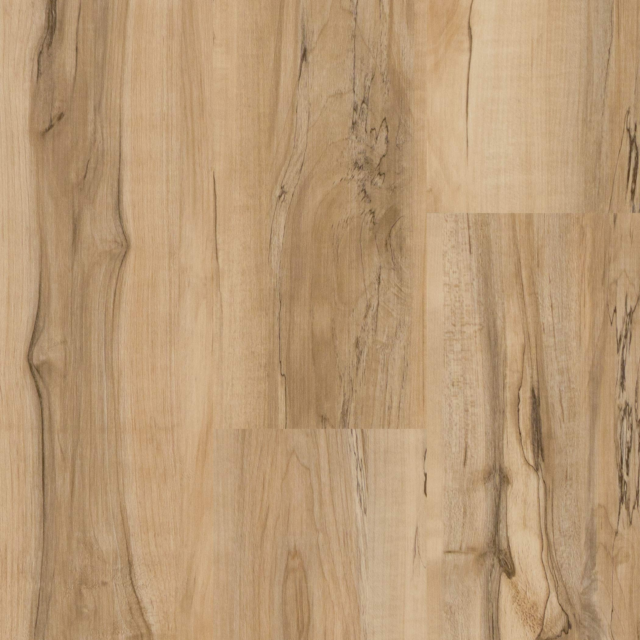 Wellmade HDPC - Contempory Maple - Glue Down 7.48" x 48.03" Luxury Vinyl Plank 899038 SQFT Price : 1.39
