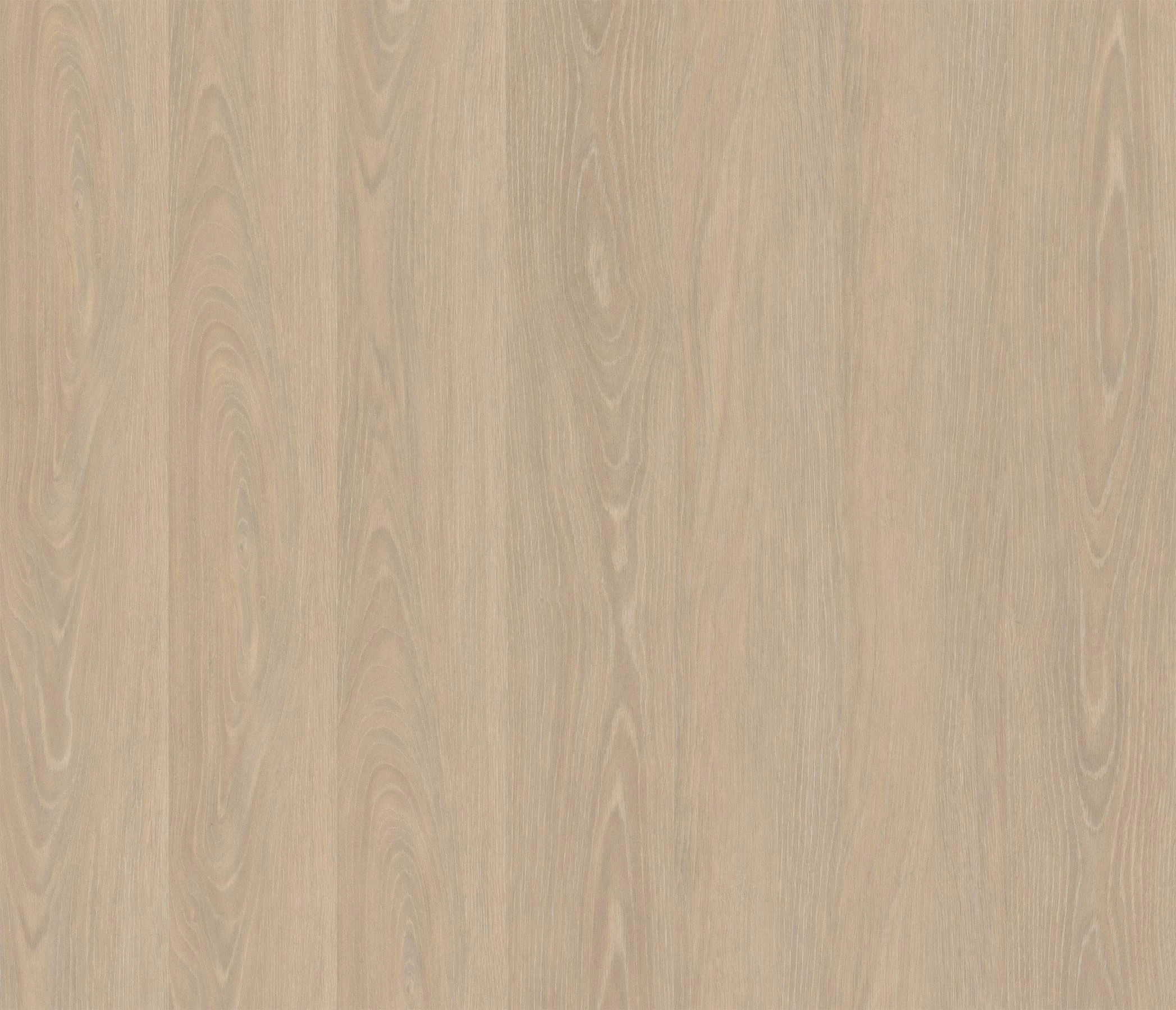 Hallmark Floors Voyager Collection - Wilson Oak - 6" x 36" - Glue Down Luxury Vinyl Plank - WILSON SQFT - Sample