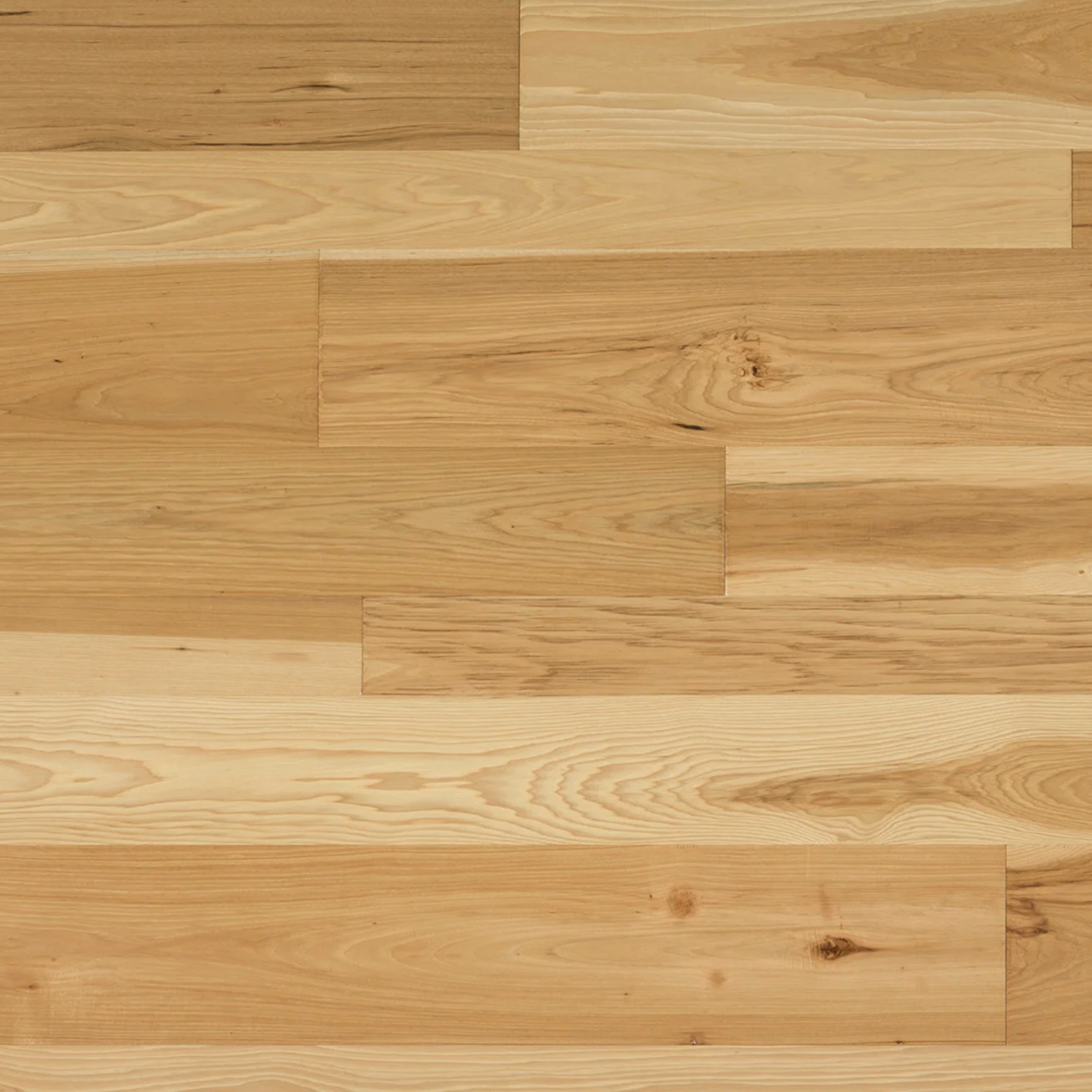 Reward Flooring - Napa Collection Hickory Monticello (4", 6", 8") Wide 1/2" Thick Engineered Hardwood MONTI SQFT Price : 3.89