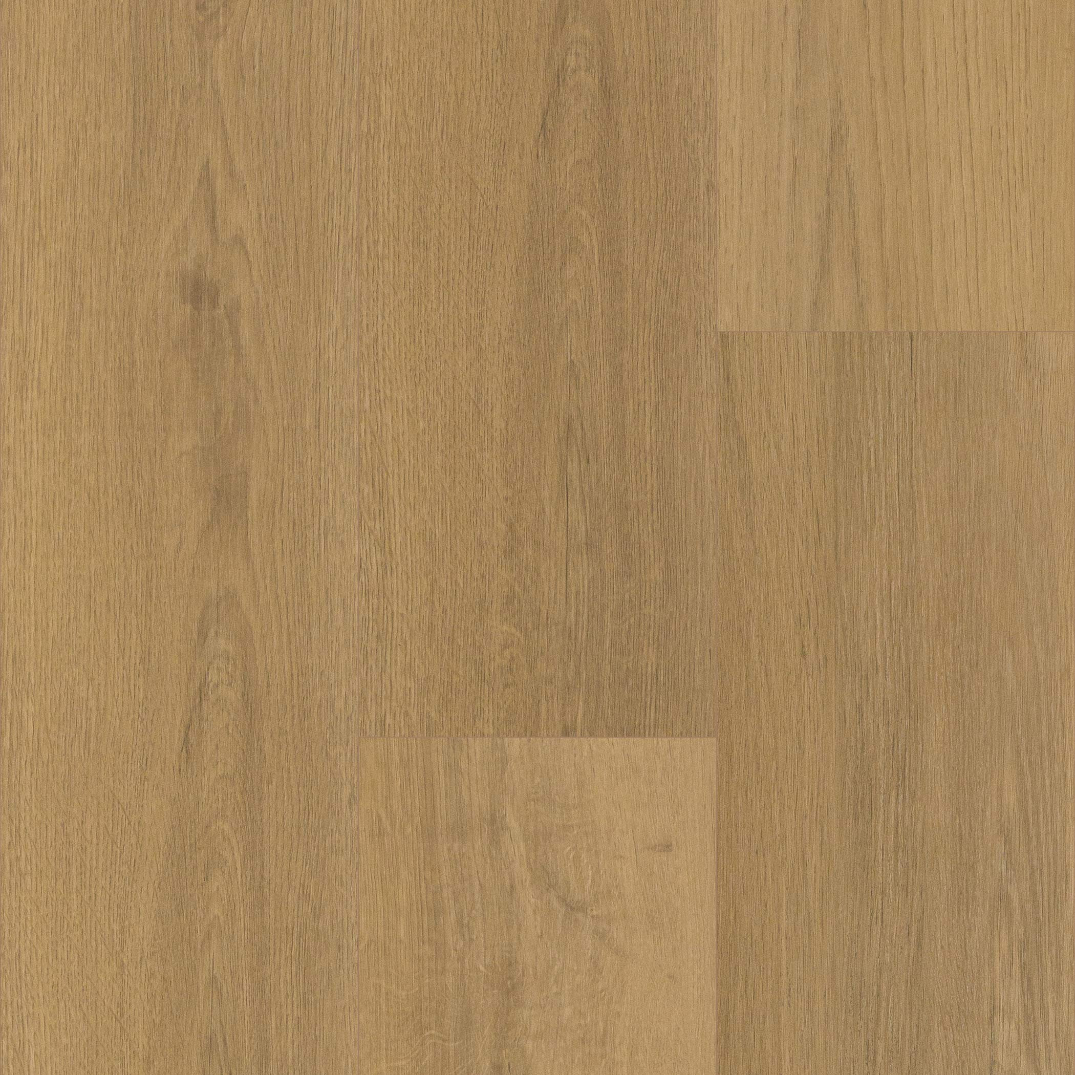 Cali Floors Pacifica Collection - Carmel Crush - 10mm - 7.69" x 47.81" Waterproof Laminate With Attached Pad 1100 SQFT Price : 2.09