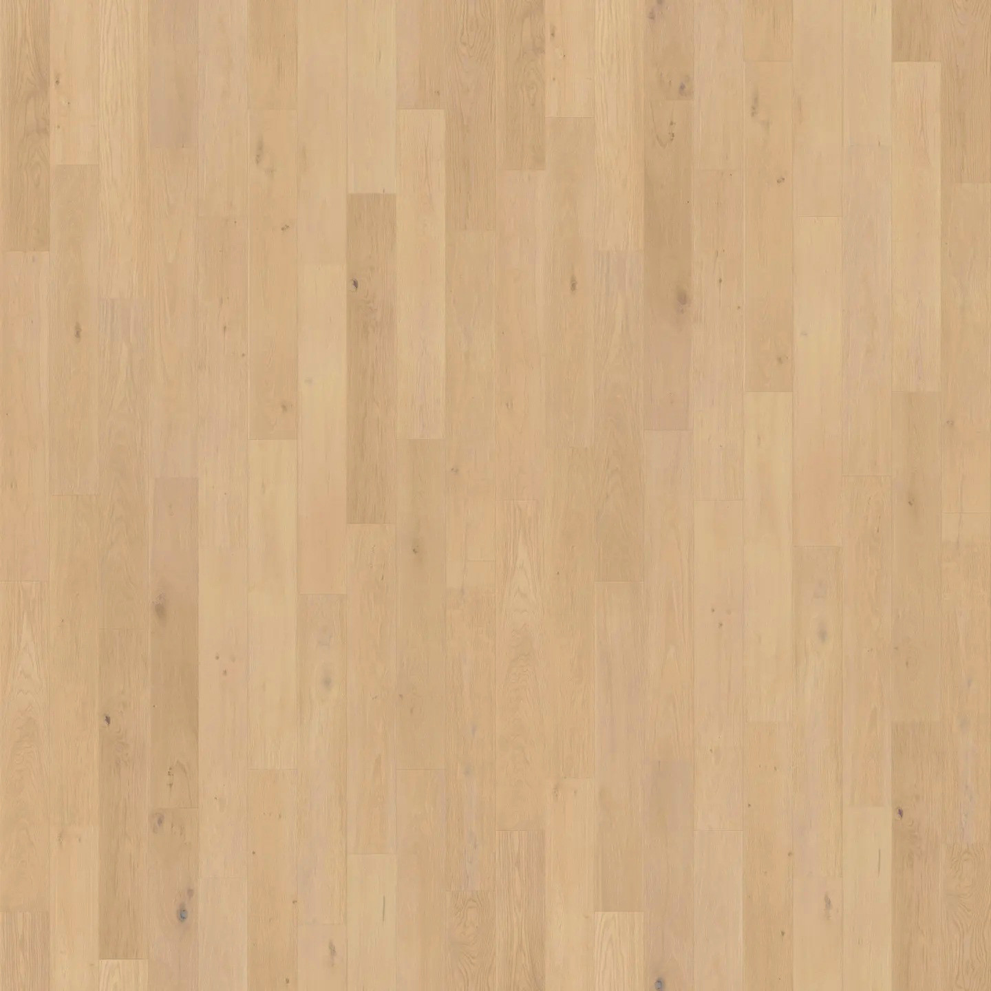 Cali Floors Pacifica Collection - Southern Salt - 10mm - 7.69" x 47.81" Waterproof Laminate With Attached Pad 0300 SQFT Price : 2.09