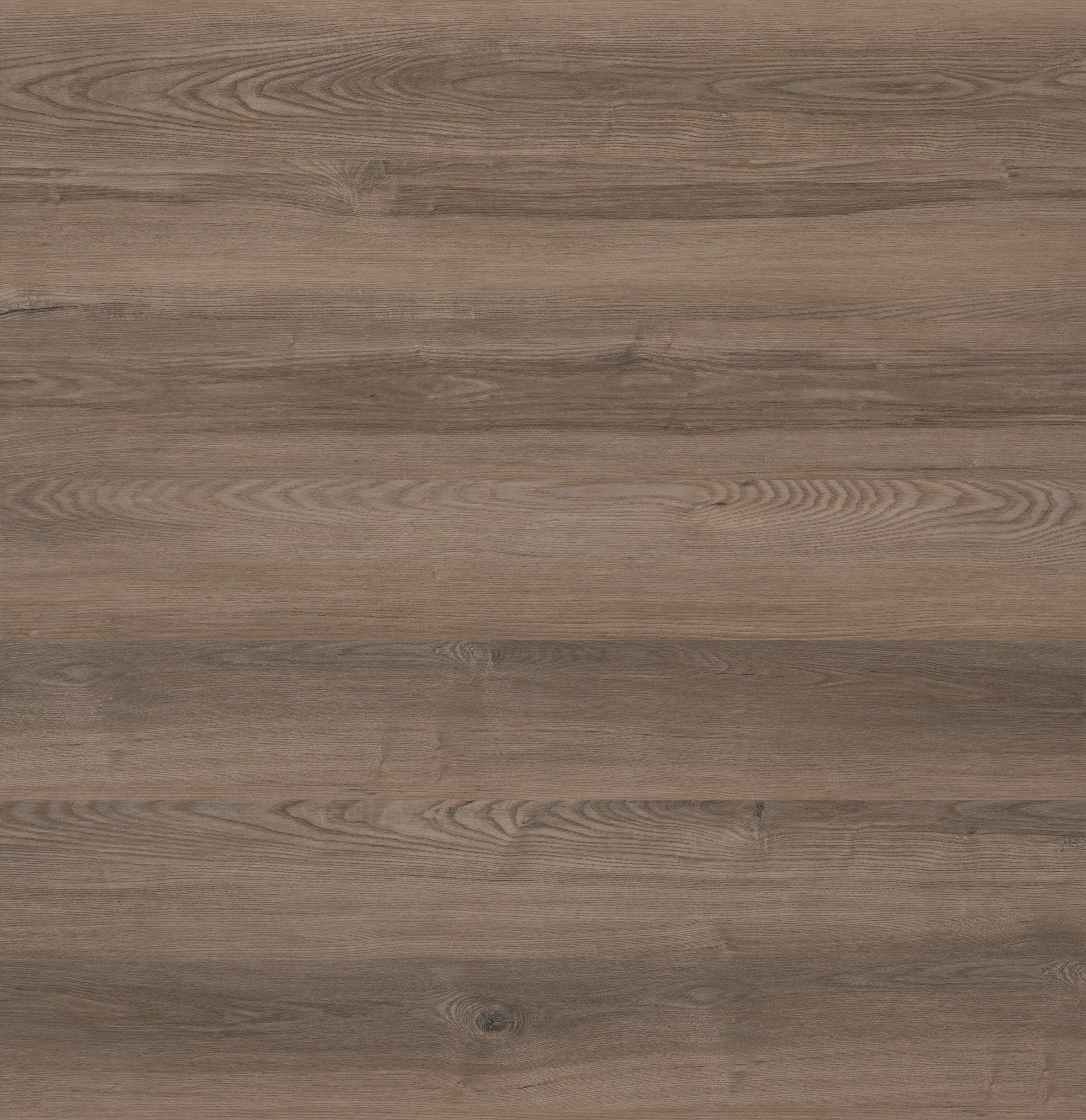 Pergo Extreme Originals - Concord Oak - 7" x 48" Click Together Luxury Vinyl Plank
