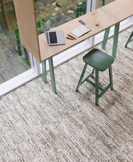 Shaw In Common 9"x36" Include Carpet Tile room