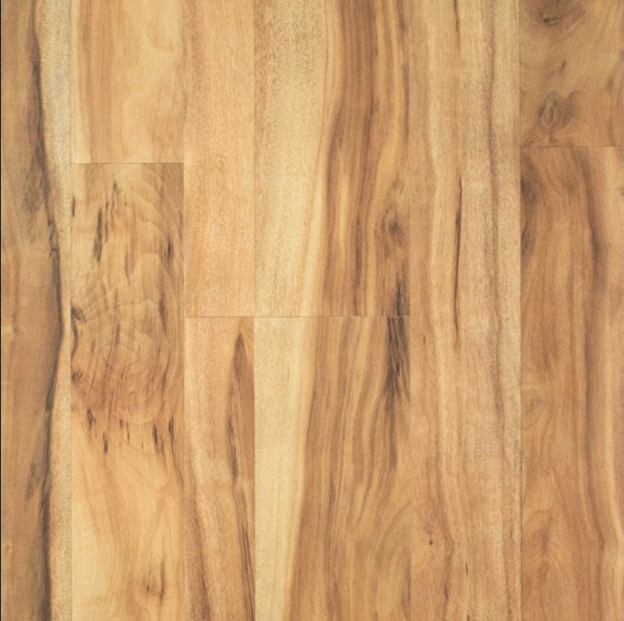 Laminate Safety Questions Floors To Your Home   Laminate 