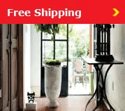 404_free_shipping