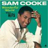 SAM COOKE-Wonderful World-The Hits-Vinyl LP-Brand New/Still sealed_LAS0723161