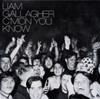 Liam Gallagher -C'mon You Know  Vinyl LP-Brand New-Still Sealed