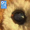 WOMBATS - Oh! The Ocean (Blue vinyl)--Vinyl LP-Brand New/Still sealed_LAS0325133