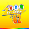 VARIOUS ARTISTS - Now - Yearbook 1982--Vinyl LP-Brand New/Still sealed_LAS0525148