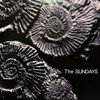 SUNDAYS - Reading. Writing & Arithmetic (Grey Vinyl)--Vinyl LP-Brand New/Still sealed_LAS07251107