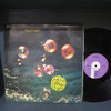 Deep Purple-Who Do We Think We Are-VINYL LP-USED--SHLP170425_8462