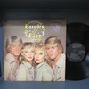 Bucks Fizz-Bucks Fizz-VINYL LP-USED--SHLP170425_8412