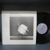 Robert Plant-The Principle Of Moments-VINYL LP-USED--SHLP170425_8447