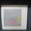 Robert Plant-The Principle Of Moments-VINYL LP-USED--SHLP170425_8447
