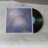 Steve Winwood - Arc Of A Diver USED - Near Mint (NM) / Very Good Plus (VG+) Vinyl - LP, Album - New Zealand 1980 - L 37468