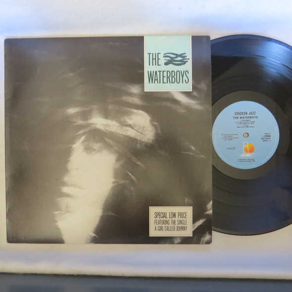 The Waterboys-The Waterboys-VINYL LP-NM-USED-SHLP_4822