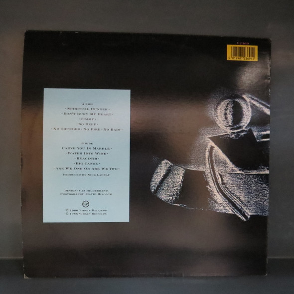 Tim Finn-Big Canoe-VINYL LP-USED-SHLP_5044