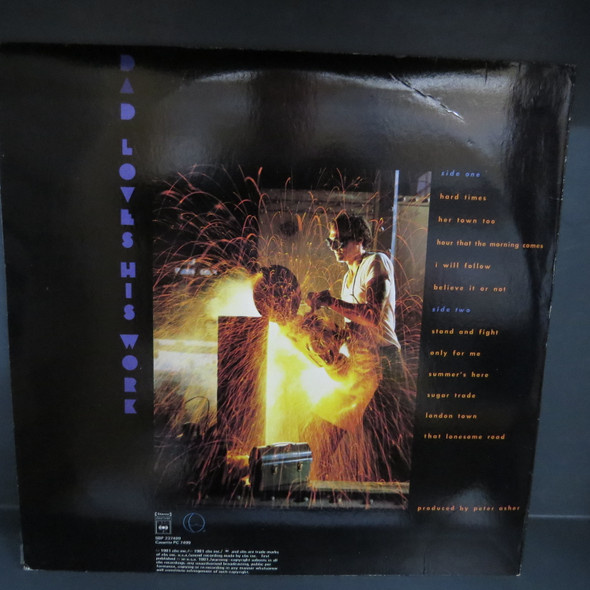 James Taylor (2)-Dad Loves His Work-VINYL LP-USED-SHLP170425_7079