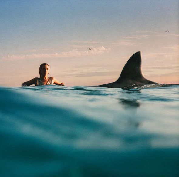 DUA LIPA - Radical Optimism (Red Vinyl)--Vinyl LP-Brand New/Still sealed_LAS01226144