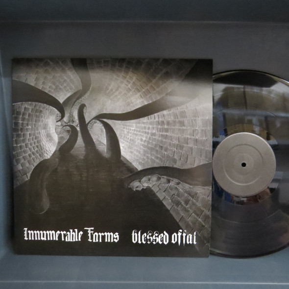 Innumerable Forms / Blessed Offal-Innumerable Forms / Blessed Offal-VINYL LP-USED-SHLP170425_7907