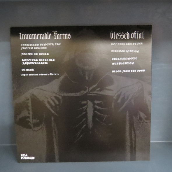 Innumerable Forms / Blessed Offal-Innumerable Forms / Blessed Offal-VINYL LP-USED-SHLP170425_7907