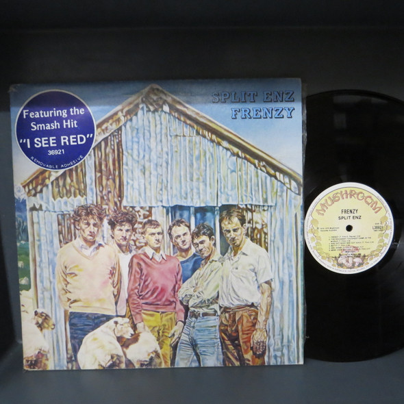 Split Enz-Frenzy-VINYL LP-USED-Aussie 1979 press-SHLP170425_8340