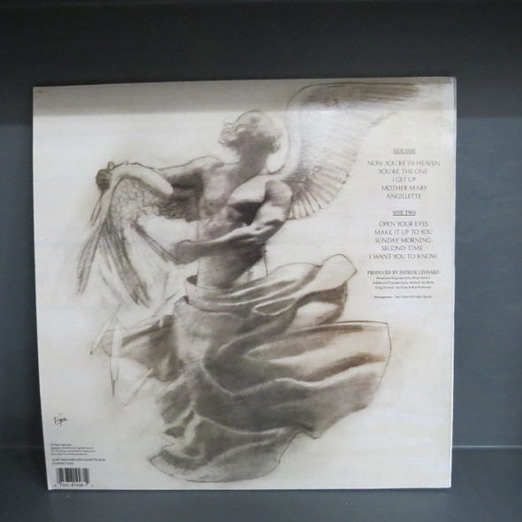 Julian Lennon-Mr. Jordan-VINYL LP-USED-Aussie 1989 press-SHLP170425_8513