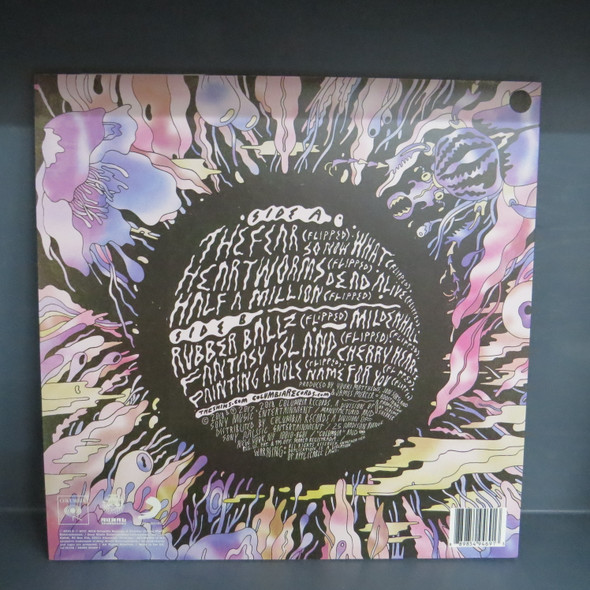 The Shins-The Worms Heart-VINYL LP-USED--SHLP170425_8532